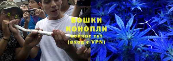 PSILOCYBIN Балахна